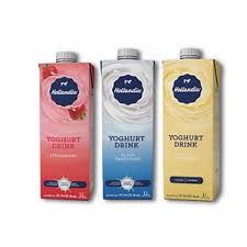 HOLLANDIA